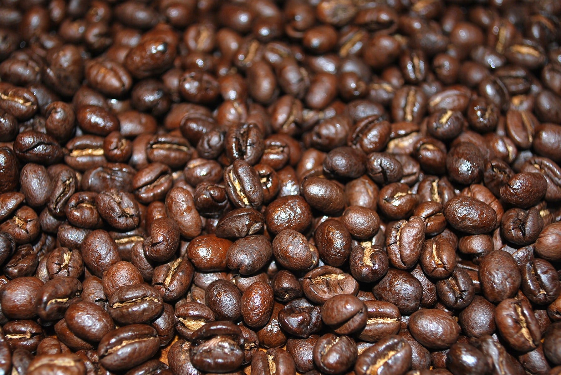 Wholesale Coffee Roaster | The Gerhart Coffee Co | Tanzania